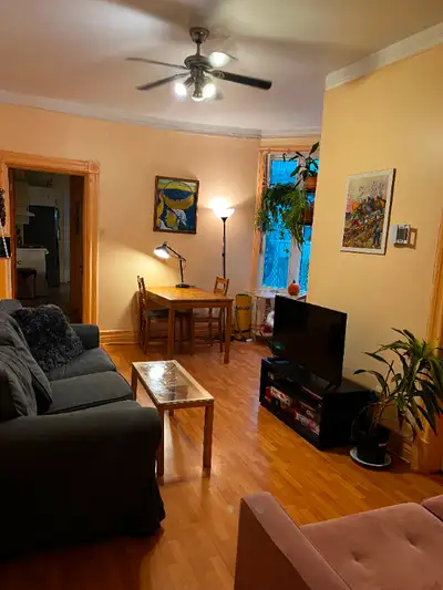 Apartment in the heart of the Plateau for rent!