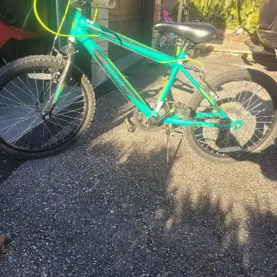 Bicycle youth Movelo Algonquin, View more