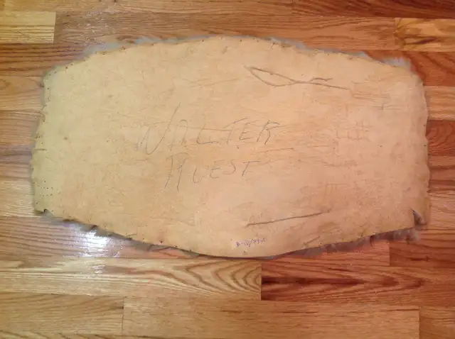 Taxidermie: peau de phoque (blanchon) in Other in Rimouski / Bas-St-Laurent - Image 3