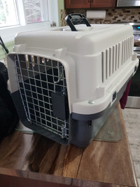 carrier for small dog or cat