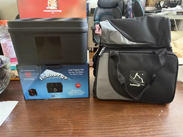 Iceberg Arch Top Cooler Lunch Bag + Six Pack Insert in Kitchen & Dining Wares in Calgary - Image 3