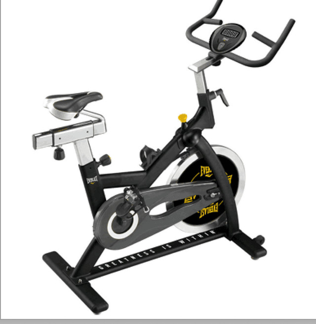 Indoor stationary cycle / spinning cycle in Exercise Equipment in Delta/Surrey/Langley