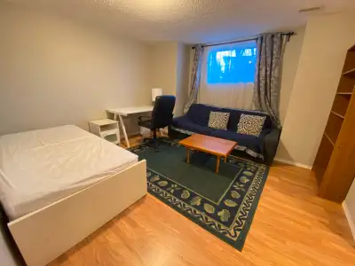3 Bedroom Basement Suite next to UA for Rent