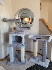 Wood + Carpet Cat Trees. Several models to choose from