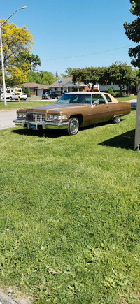 1976 Cadillac Cialis 