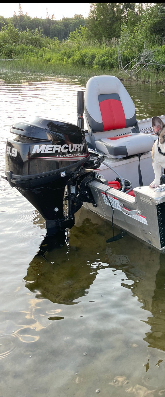 2016  9.9 Mercury 4 stroke  in Personal Watercraft in Gatineau