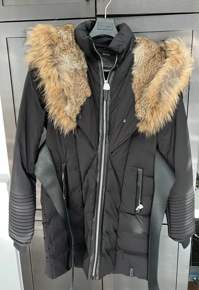 NEW Rudsak Authentic Ladies Jacket XS in Women's - Tops & Outerwear in Markham / York Region - Image 2