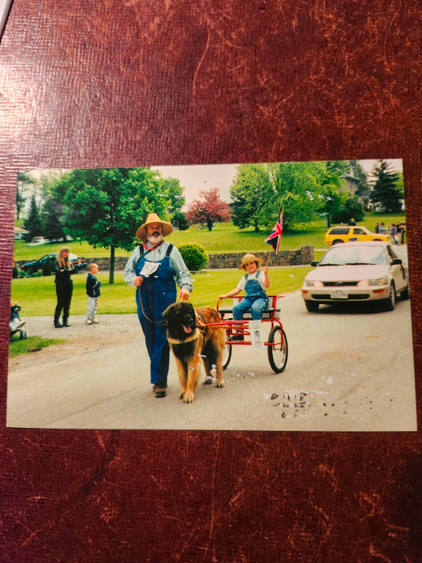 Sulky red dog cart in Accessories in Kawartha Lakes