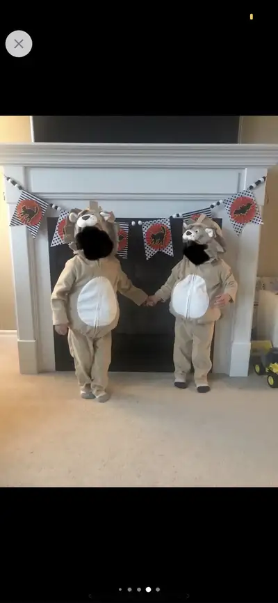 Cozy Lion costume by Carters Size: 18 months SFPF Clean Home $10 The 24 month costume has been SOLD
