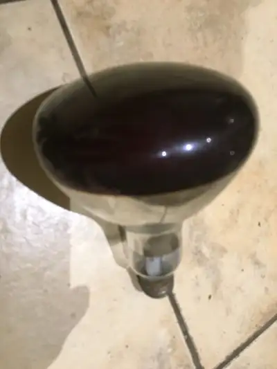 FREE Heat Lamp Bulb - Yonge south of 401, View more