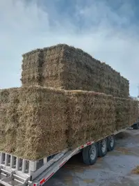 Hay 2nd cut in bundles of 21 and straw