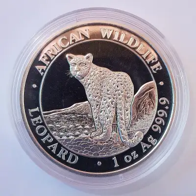 Somalia 100 Shillings 2018 African Wildlife Somalian Leopard Silver Ag 9999 Coin in Capsule Somalia...