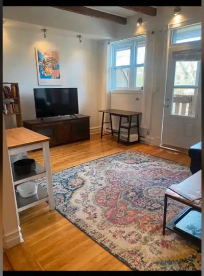 1 Bed 1 Bath - Apartment for rent