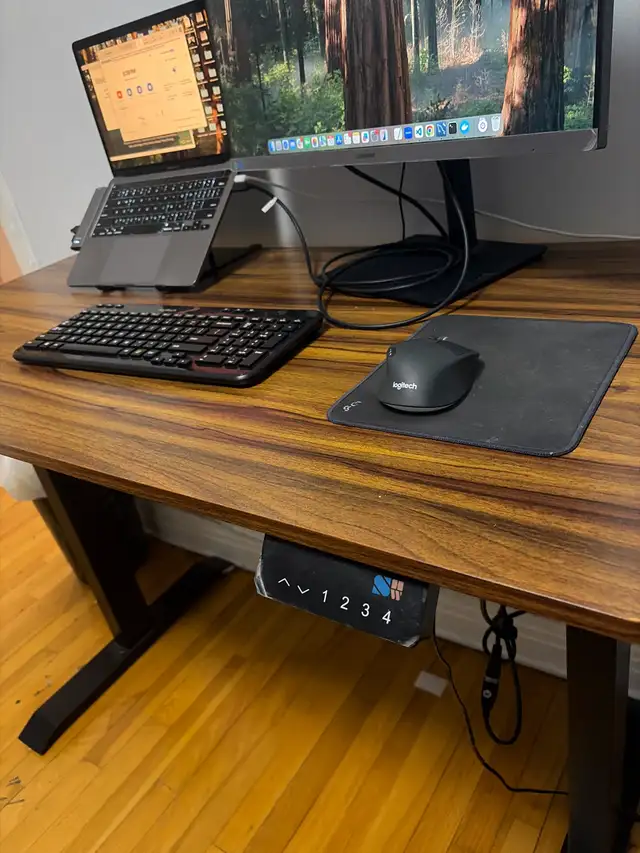 Standing Desk  in Desks in Calgary - Image 3