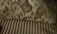 Elegant Quality Duvet, 2 shams, & bed skirt