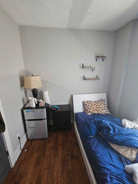Summer sublet may-august
