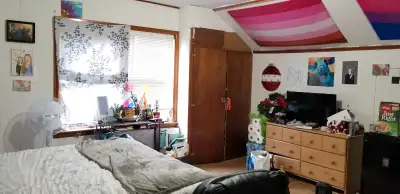 U OF WINDSOR. ON SUNSET. 1 MINUTE WALK. HUGE HOUSE.HARDWOOD.