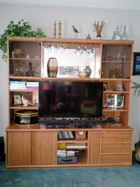 Entertainment Unit