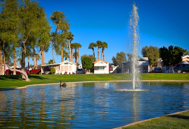 Araby Acres 55+ Resort Park December 24 YUMA RENTAL in Arizona - Image 2