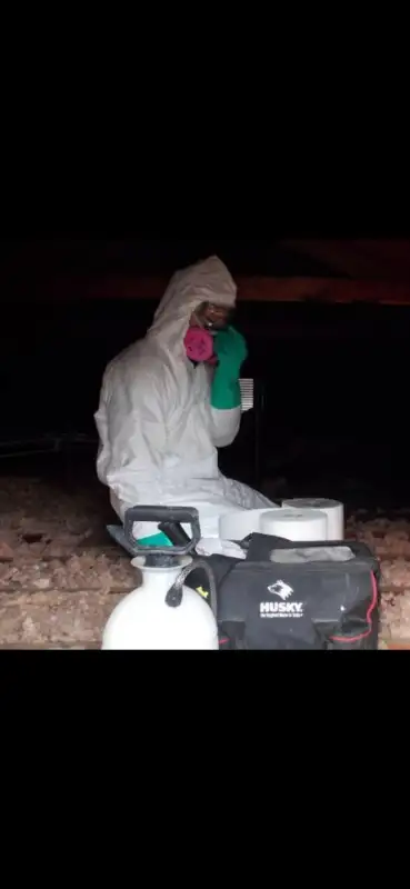 DMR Mold Removal