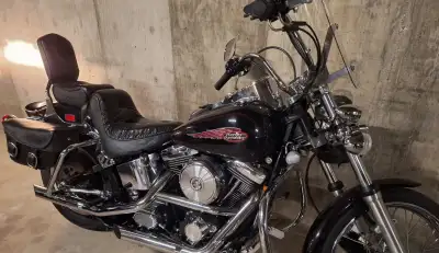 Ride ready! Low mileage. $4,000 in custom accessories. All service by certified Harley mechanic. Inc...