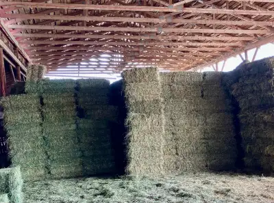 Hay for Sale, View more