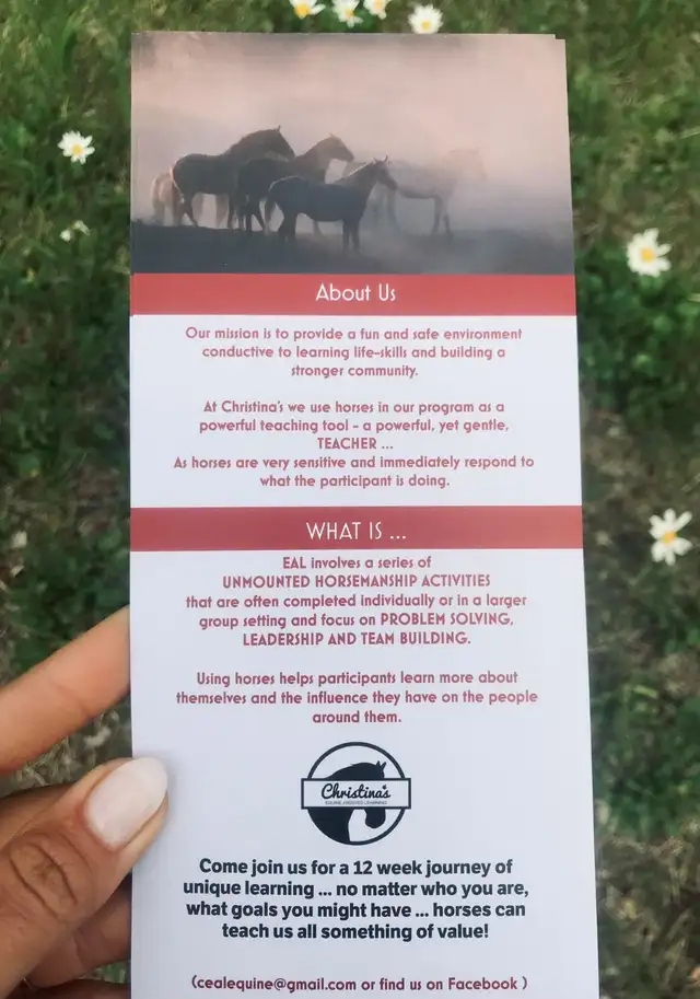 Equine Assited Learning63611966940289122