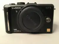 Lumix GF-1 Digital Mirrorless Camera Body with accessories