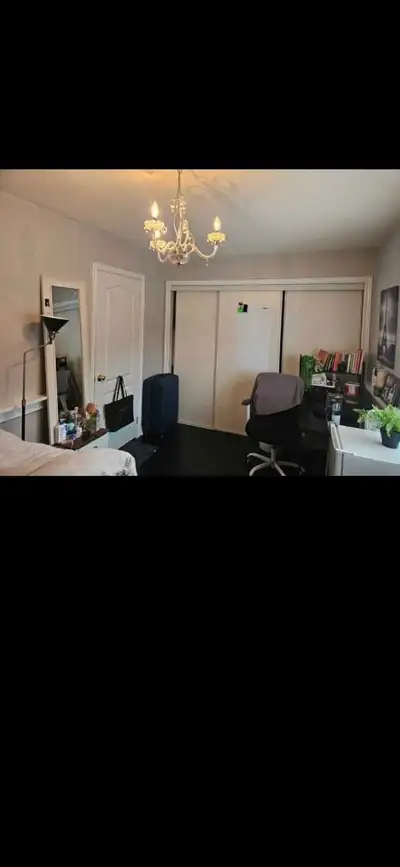 BRAMPTON: MAIN ST AND BOVAIRD - AWESOME LOCATION. Upstairs Private Single Bedroom is available for G...