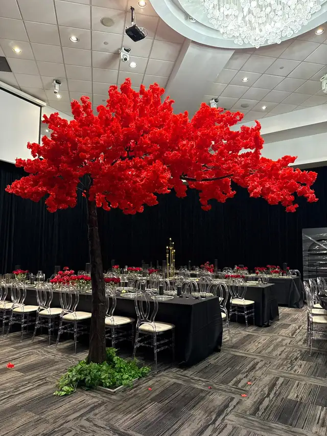 Luxury Cherry Blossom Trees | Straight, Arched & Weeping Styles in Home Décor & Accents in Mississauga / Peel Region - Image 5