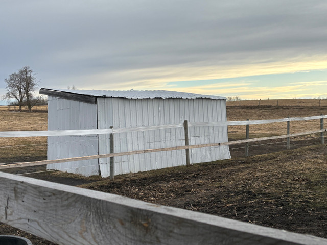 Horse Shelters in Equestrian & Livestock Accessories in Edmonton