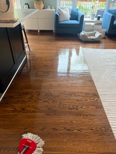 Professional House Cleaning services - Call or text for a quote, View more