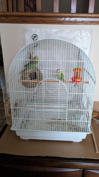 Bird Cage with Budgies