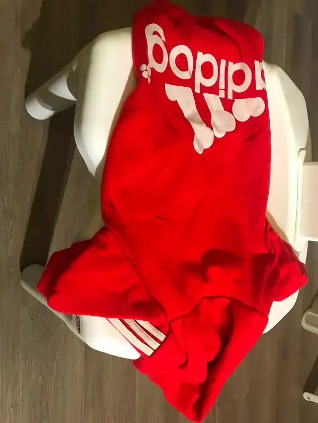 Brand new dog winter jackets in Other Pets for Rehoming in Calgary - Image 9