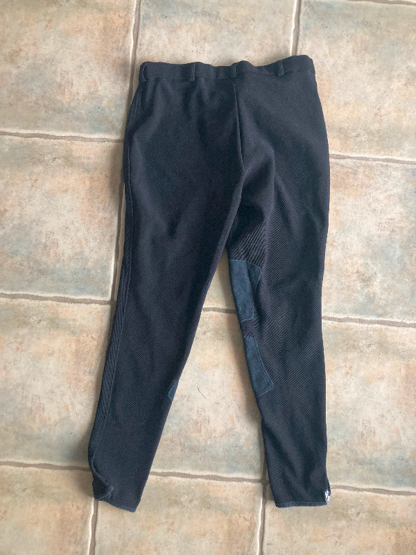 Good Condition Women’s Black Riding Breeches/Jodhpurs in Women's - Bottoms in Ottawa