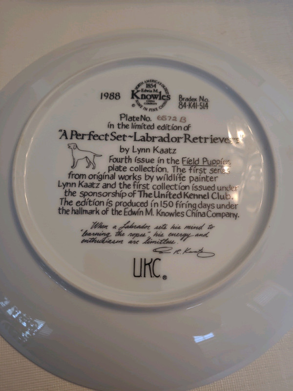 A Perfect Set Labrador Retrievers L Kaatz Collector Plate 1988  in Arts & Collectibles in Oakville / Halton Region - Image 2