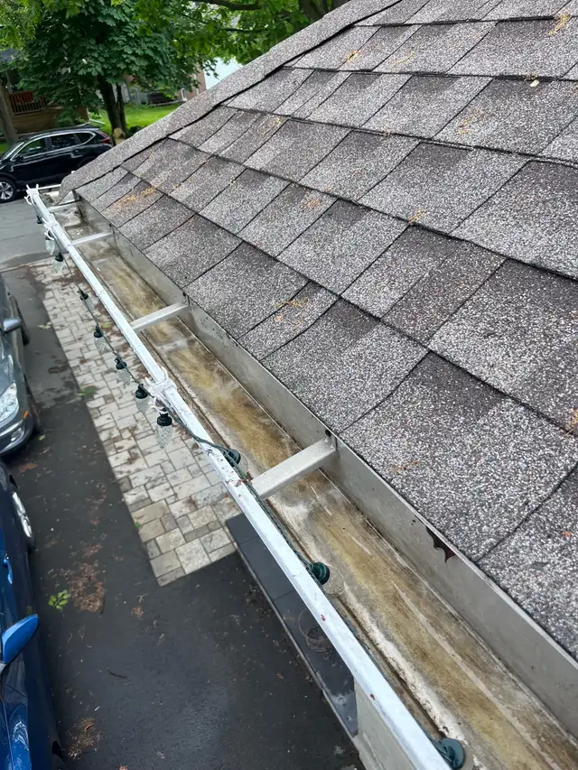 Ottawa WINDOW CLEANING, GUTTER CLEANING, PRESSURE WASHING63235119511683123
