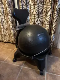 Balance Ball Chair Assembled 