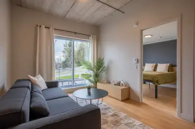 3½ appartement meublé, neuf et moderne