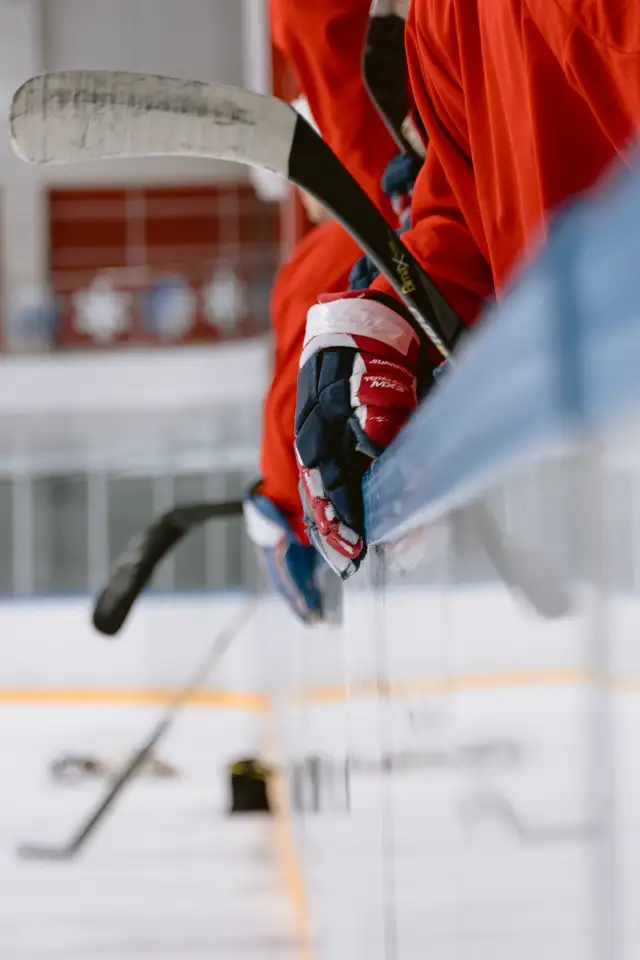 Looking for ice hockey goalie in Blainville (garage league)63735881604481120