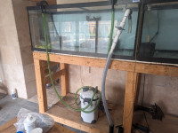 Complete fish room for sale 75-120g tanks, sumps, stands, filter