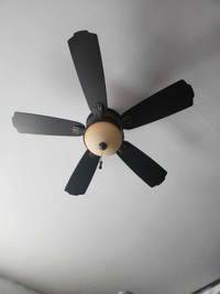 52 inch celing fan