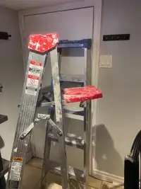 2 step ladder  