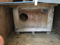 Insulated wood cat shelter 38" around 24"H