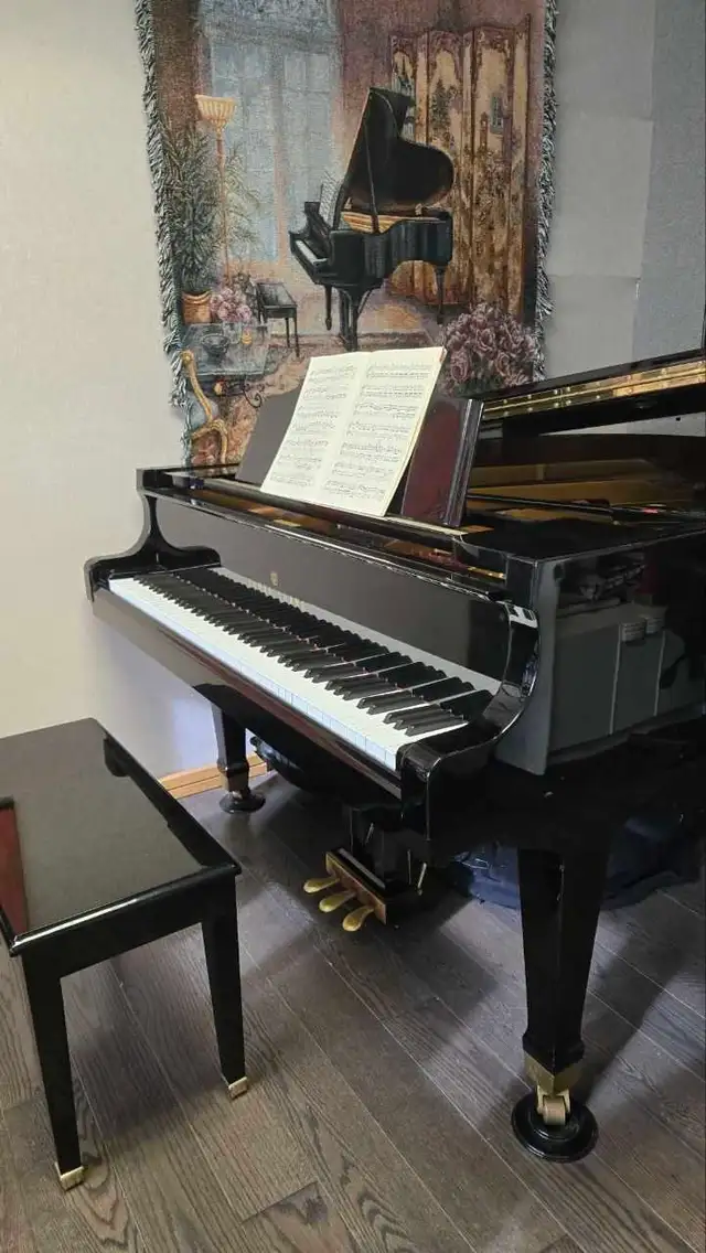Piano Lessons--All ages and Abilities572876210276280325