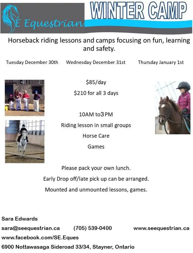Winter Horse Camp64667464996609120