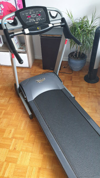 Bremshey Adjustable/Folding Treadmill