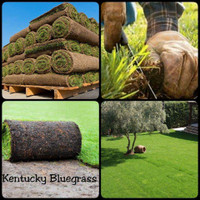 Professional Sod-Turf Installation, New Grass *Free Estimates*