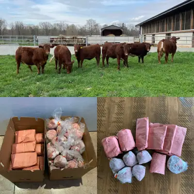 Custom cut hormone-free freezer beef! Here at JaDar Farms, we can provide you with quality, hormone-...