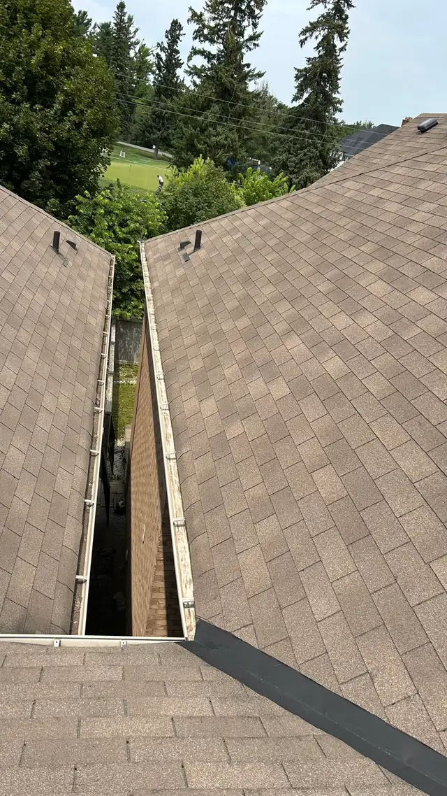 Professional Gutter Cleaning – Toronto & GTA